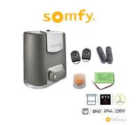 ELIXO 500 3S RTS PACK DE CONFORT Somfy Actuador Para Puertas Batientes