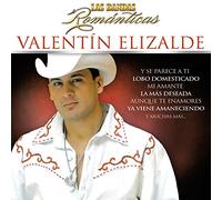 Elizalde Valentin - Las Bandas Romanticas