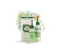 Elkaderm Dream Perm Alpin P Dauerwell-Set Coloreado, Poroso Pelo