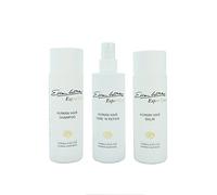 Ellen Wille Expert Care humain Hair Cuidado Set