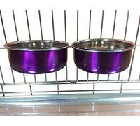 Ellie-Bo - Juego de Cuencos para Perros (0,9 L), Color Morado
