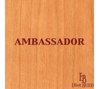 Elliot Brood - Ambassador