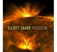 Elliott Sharp - Phlogiston
