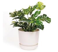 Elly Décor Cilindro de 10 x 10 Pulgadas, Blanco, 10 Pulgadas