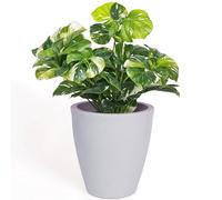 Elly Décor Maceta de jardín de 12 Pulgadas con Drenaje, Grande Redonda Moderna, Ligera y Extremadamente Duradera, para Patio, terraza, Interior y Exterior, 12 x 12 Pulgadas, Gris Claro