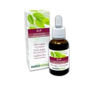 Elm o Olmo inglés (Ulmus procera) Flores emocionales o Flores de Bach Naturalma - Gotas 30 ml - Extracto líquido sin alcohol - Esencias florales - Vegano