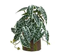 Elnwnnkc Decoración de Reptiles para Acuario, Planta de terrario, decoración de peceras, Plantas para Anfibios, lagartos, Serpientes, hábitat, Plantas Artificiales para Interior
