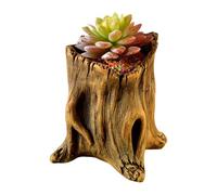 Elnwnnkc Macetas Decorativas de Cemento con estética de raíz de árbol Natural para entusiastas de los bonsais y Las suculentas, macetero de Cemento para Uso en Interiores y Exteriores