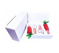 Elnwnnkc Picos de riego automático, estacas para Plantas de Terracota, Dispositivos de Vacaciones, estacas para Goteo automático Interior/Exterior