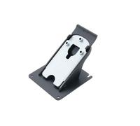 Elo display mount