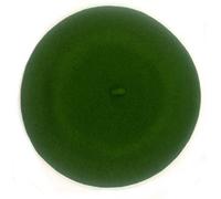 Elosegui Boina Vasca Mujer Modelo Dame 100% Lana Merino con Forro (Verde Primavera 40)