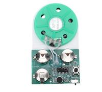 Elprico Chip de Módulo de Grabación de Voz de Música de Bricolaje, Módulo de Grabadora de Sonido de Llave única, Puede Grabar 4 Minutos de Música Sana para Saludos Personalizados,