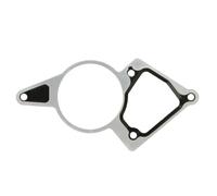 Elring Juego de juntas bomba de vacío 027.641 para Ford, Land Rover, Jaguar y Peugeot