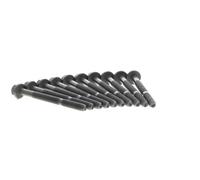 ELRING Juego de tornillos de culata para FIAT: Punto, Palio, 500, Panda, Ritmo, Seicento, Siena, Doblo, Linea, Uno, Idea, Qubo, Tipo (Ref: 760.720)