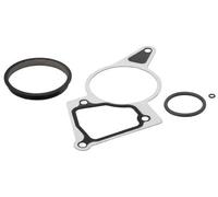 ELRING Kit de juntas para FORD: Transit/Tourneo, Mondeo, Ranger & LAND ROVER: Defender & JAGUAR: X-Type & PEUGEOT: Boxer (Ref: 250.870)