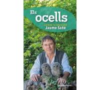 Els Ocells