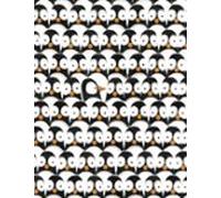 Els Problemes D En Pingüi