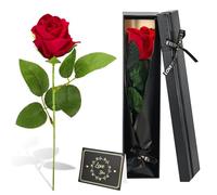 elthmpr Regalo de rosa eterna para mujeres - Rosa infinita en caja de regalo, flor conservada, regalo de cumpleaños para mamá, amiga, San Valentín, día de la madre, aniversario de boda
