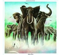 Elvis Costello and The Attractions Armed Forces (CD) Album (Importación USA)