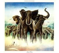 Elvis Costello - Armed Forces (Bonus Track)