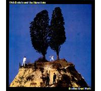 Elvis Costello - Goodbye Cruel World