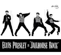 Elvis "Jailhouse Rock Canvas, Multicolor, 40 x 50 cm