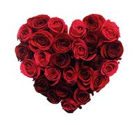 Elvis Presley - Elvis Presley / Frank Sinatra / Paul Anka: Love Cards Bliss