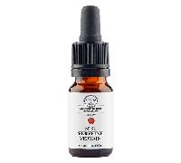 ELXIRS&CO Nº31 Verrbena 10ml