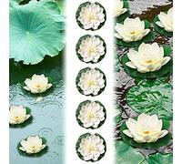 EMAGEREN 5 PCS Nenufares Flotantes Artificiales 10cm Flores Flotantes Piscina Lirio de Agua Artificia Blanco Flores de Loto Artificiales para Jardín Estanque Decoracion