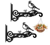 EMAGEREN Soportes para Colgar Macetas en La Pared, Soporte para Plantas Colgantes Vintage, Ganchos para Colgar Macetas de Hierro, con Tornillos para Planta Lámpara Cesta (2pcs*Pájaro y nido)