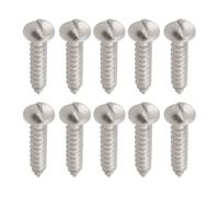 eMagTech 40 Tornillos Seguridad para Matrícula Antirrobo 3/4" Cabeza Embrague Antivandálica Unidireccional para Matrícula de Alta Resistencia Calibre 8 Acero Inoxidable 304