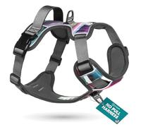 Embark - Arnés Urbano para Perro, arnés para Perro sin tirones con 2 Clips de Correa, arnés para Perros medianos, arnés antitirones Delantero y Trasero con Mango de Control, Ajustable, Suave y