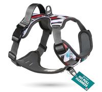 Embark Urban - Arnés para Perro, sin tirones, con 2 Clips de Correa, arnés para Perros pequeños, arnés antitirones para Perros pequeños con Mango de Control, Ajustable, Suave y Acolchado, arnés para