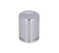 Émbolo, pinza de freno AUTOFREN SEINSA D025592, atrás