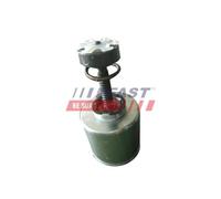Pistón de la pinza de freno Eje trasero FT32289 FAST para IVECO
