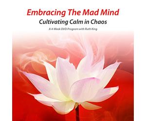 Embracing the Mad Mind - Cultivating Calm in Chaos