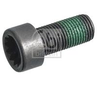 Embrague/Caja de cambios > Embrague y volante motor > Tornillo de volante motor