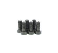 LUK Juego tornillos, volante para BMW: SÃ©rie 3, SÃ©rie 5, SÃ©rie 1, X1, X3, SÃ©rie 4, Z4, SÃ©rie 6, SÃ©rie 2, M2, M4, M3 (Ref: 411 0256 10)