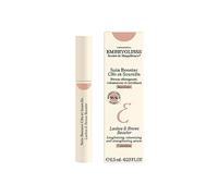 Embryolisse Lashes & Brows Booster Negro