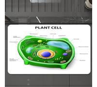 EMCLKS Alfombra Baño Antideslizante 60x90 cm,Educativo, Investigación en Biología Celular Vegetal Botánica Anatomía Estruct,Alfombrilla Absorbente, Alfombras Lavable a Máquina con Microfibras Suaves