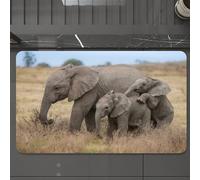 EMCLKS Alfombra Baño Antideslizante 60x90 cm,Mamá Elefante de Safari y su cría en una Pradera Africana,Alfombrilla Absorbente, Alfombras Lavable a Máquina con Microfibras Suaves