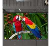 EMCLKS Alfombra Baño Antideslizante 60x90 cm,Pájaros Loro Coloridos de la Jungla se posan en una Rama,Alfombrilla Absorbente, Alfombras Lavable a Máquina con Microfibras Suaves