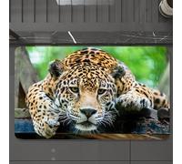 EMCLKS Alfombra Baño Antideslizante 60x90 cm,Selva, Jaguar sudamericano, Fauna Silvestre, Carnívoro, En Gro de extinción, S,Alfombrilla Absorbente, Alfombras Lavable a Máquina con Microfibras Suaves