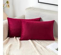 EMEMA Funda de cojín de terciopelo, funda de cojín de Navidad, cojín decorativo para sofá, cojín lumbar, funda de almohada con cremallera oculta, sofá dormitorio, juego de 2 unidades, 40 x 60 cm