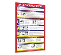 & Emergency Guide Poster - CPR and Heimlich Maneuver Instructions, Laminated for Home, Office & Public Space(Unframed,08x12inch(20x30cm))