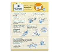 Emergency Pet Poster First Aid Guide