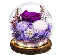 Emibele Regalo de Rosa Eterna para el Día de la Madre, Rosa Real Preservada en Domo de Vidrio con Luz LED, Flores para Entrega, Regalo para Mujer, Esposa, Cumpleaños, Aniversario, Morado