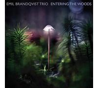 Emil brandqvist trio - Entering the woods