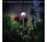 Emil Brandqvist Trio - Entering the Woods (Ltd/180gr/Black Vinyl) [Vinilo]