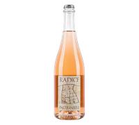 Emilia-Romagna Paltrinieri Lambrusco di Sorbara Radice 2024